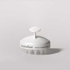 steam base Perfect Shampoo Brush Scalp Scaling Scalp Cooling 55g / 퍼펙트 샴푸 브러쉬 두피 스케일링 두피쿨링 55g