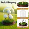 HEWYIOS Light Up Hole in One Golf Ball Display Case，Can