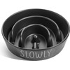 Ceramic Slow Feeder Dog Bowls Small Breed, 0.6 Cups Dog