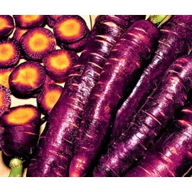 Seeds Cosmic Purple Carrot Seeds  200+ Seeds  NON-GMO  BUY 4 GET FREE SHIPPING