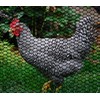 Boen Plastic Hex Chicken Wire Mesh Temporary Fence Roll (4'