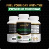 Moringa: The Ultimate Superfood for Energy, Immunity & Vitality moringa