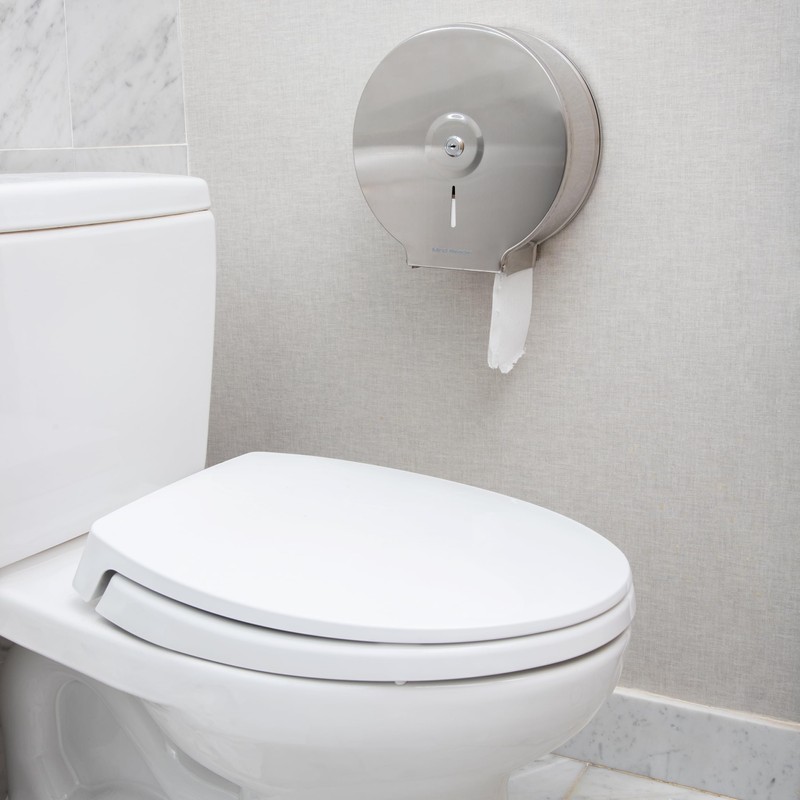 Mind Reader Toilet Paper Dispenser, Wall Mount, Lock with Key,