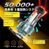 LED Fog Lamp LM-P1 HB3 (9005) with Optical Axis Adjustment
