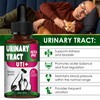 Сat Urinary Tract Infection Treatment with Cranberry – Dog UTI