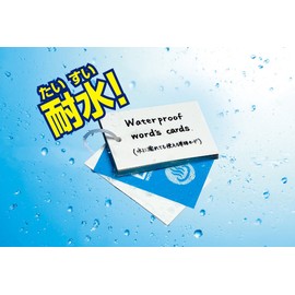 Kutsuwa STAD SC220 Word Card, Single Bath, Large