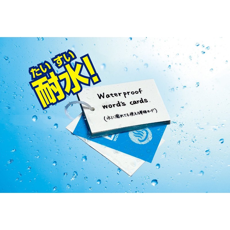 Kutsuwa STAD SC220 Word Card, Single Bath, Large