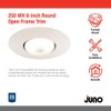 Juno Lighting Group 250 WH BR30 Halogen Open Frame in