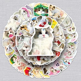 Ragdoll Cat Sticker Set of 50 Cute Decoration for Car Laptop Skateboard Bicycle Moped Motorcycle Bicycle Computer Suitable for Adults Children