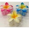 Plameria hair claw clips