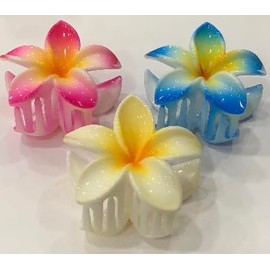 Plameria hair claw clips