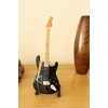 RGM180 Dave Gilmour Dark Side 10 inch Miniature Guitar Including
