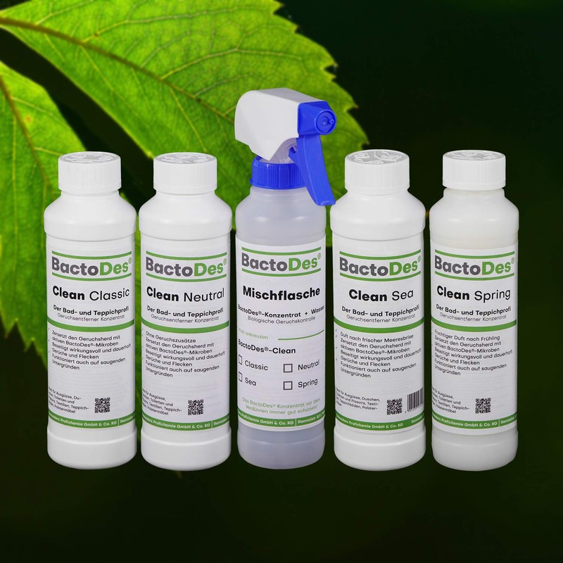 BactoDes Clean 2 in 1