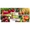 Power Spike for Fruit Trees. Specifically formulated to Effectively Feed