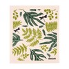 Swedish Dishcloth Fern