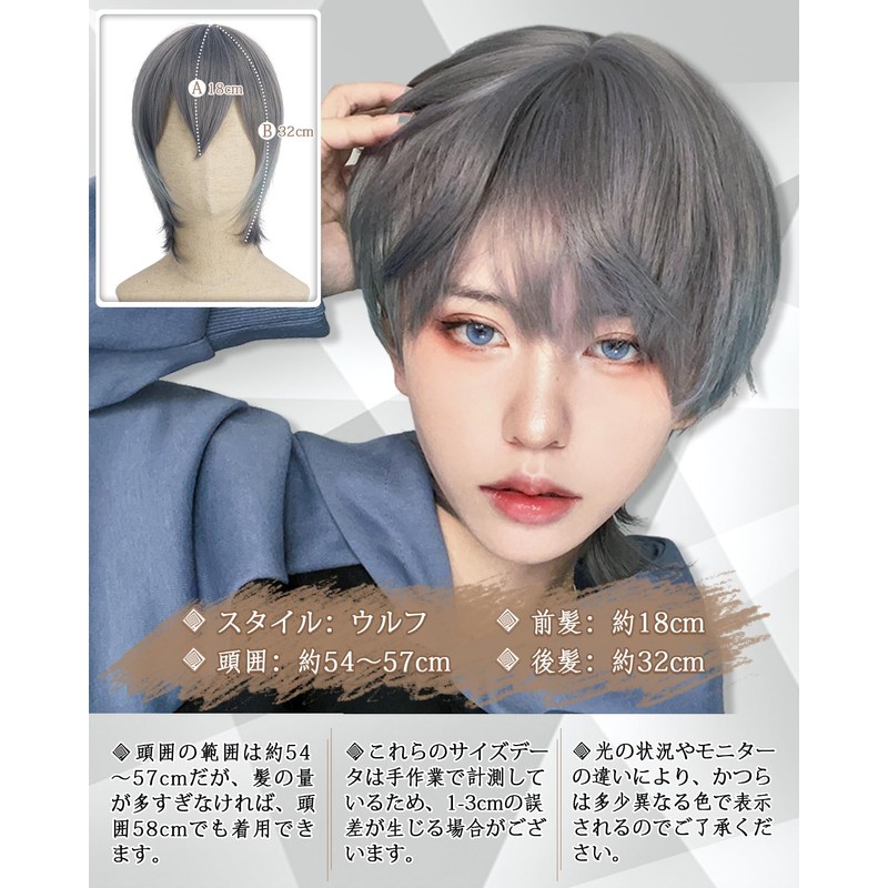 Peacoco Wig, Men's Men's Wig, Wolf, Natural, Easy, Handsome Cosplay,