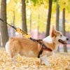 In Training Ignore Dog Leash Sleeve Dot Not Pet Working