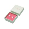 Ted Baker Han Crystal Heart Stud Earrings For Women (Silver/Crystal)