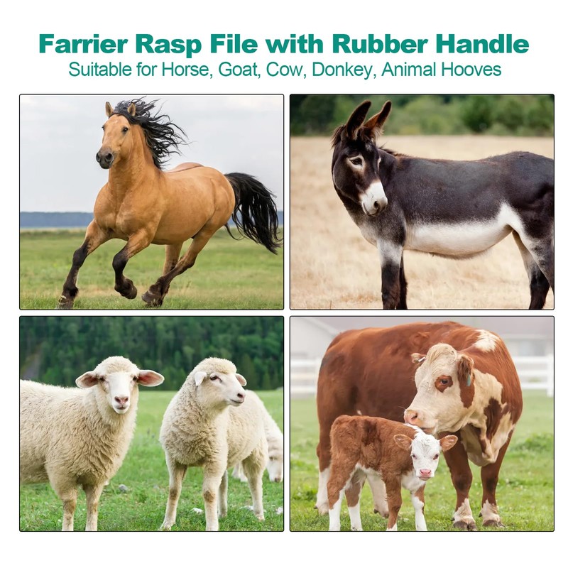 File, blacksmith hoof rasp, horseshoe, an ideal tool for using