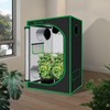 Green Hut Indoor Grow Tent 48"x24"x60" 600D Mylar Hydroponic for