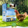 Small Pet Select Chicken Layer Feed Pellets, Food for Chickens