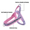 AIITLE No Pull Dog Harness with Soft Padded Handle, Adjustable