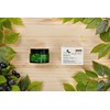 Bundle of 2) The Pure Moisturizing Moisturizing Cream for Normal