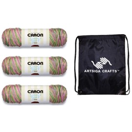 Caron Knitting Yarn Simply Soft Paints Rose Garden 3-Skein Factory Pack (Same Dyelot) 294021-21002 Bundle with 1 Artsiga Crafts Project Bag