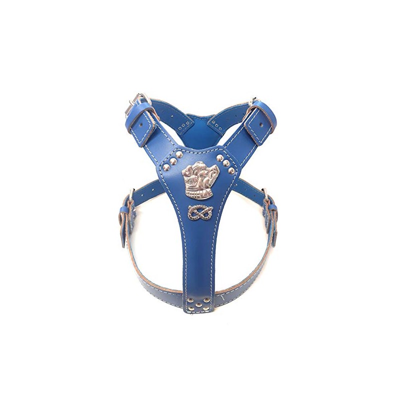M&D Beautiful Blue Leather Dog Harness Large with Staffy Staffordshire