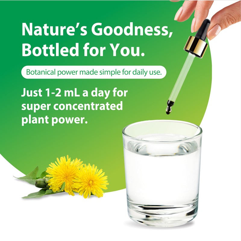 Rainbow Light Dandelion Root Extract Supplement | 2 Fl Oz