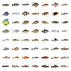 50PCS Funny Fish Stickers for Teens Boy Girls Kids Deep-Sea