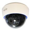 SKY Electronics Security Camera Dummy Camera Dome 1