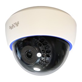 SKY Electronics Security Camera Dummy Camera Dome 1