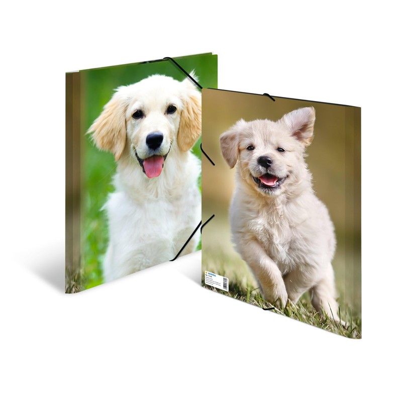 HERMA Collecting Folders A4 Dog Set, 3 Pieces, Children's Corner