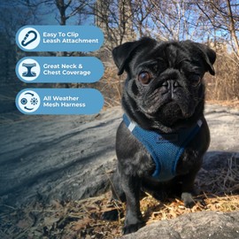 Voyager Step-In Air Dog Harness by Best Pet Supplies - All Weather Mesh Step in Vest Harness for Small and Medium Dogs, Blue, size M - Chest: 16 - 18"
