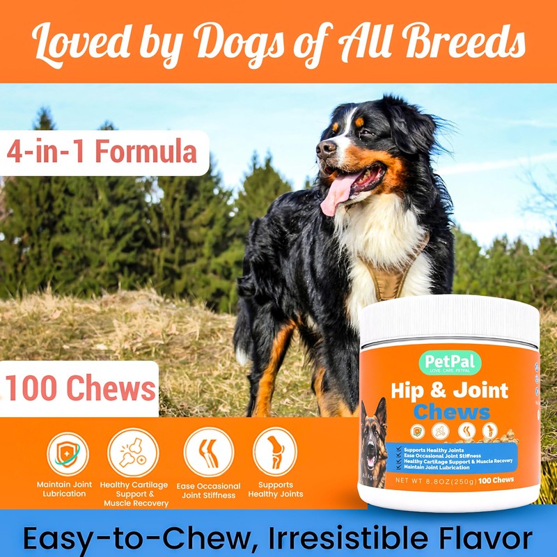 Healthy Dog Treat, Soft Training chew, Support Hip and Joint