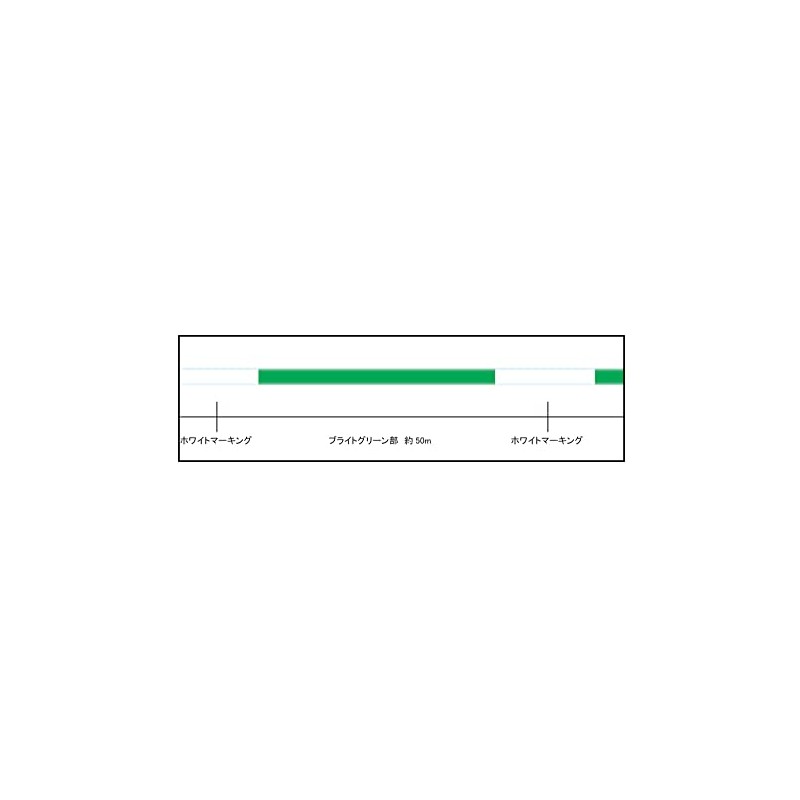 Sunline Salty Mate Megalum x 8, 658.6 ft (200 m)