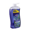 CLOROX Fraganzia Liquid Hand Soap Lavender with Eucalyptus Scent Value