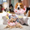 SlowTon Dog Cones Recovery Collars Inflatable, Soft Comfy Dog Cone