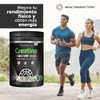 Suplemento alimenticio Healthaddiction Polvo de creatina monihidrata 400g