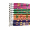 schone HB Pencils 12 Pack – Pre-Sharpened Wooden Pencils with