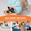 Avont Cat Cone Collar Soft, Adjustable Pet Recovery Collar for