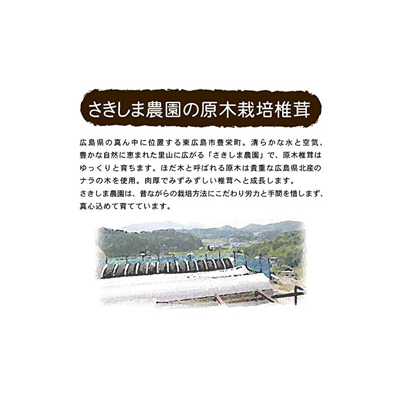 Shiitake Mushrooms and Vegetable Bouillon, 0.2 oz (4 g) x