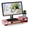 Alvinlite Monitor Stand Riser with 2 Tier Shelf, Desktop Organizer
