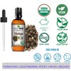 Mayan's Secret Organic Moringa Energy Oil 100% Pure Moringa Seed