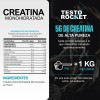 Creatina Monohidratada y Micronizada Polvo | 100% Alta Pureza Certificada