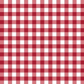 Quality Fabric Gingham Picnic Blanket Pattern Red on White 100% Cotton 1/4 Yard (18x22) s