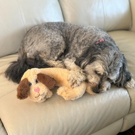 SPOT Soothers- Warm Hug Pal - Calming Plush Dog Toy with Lavender Scented Beads, Removable Squeaker, Microwavable Warming Pouch, Separation Anxiety Relief, for Medium to Large Dogs and Puppies, 10in