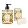 Panierdessens Essentials Bundle (Liquid Marseille Soap & Vegetable Soap), Made
