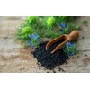 HANDI BLACK SEEDS (KALONJI SEEDS) 200Gm NIGELLA SATIVA
